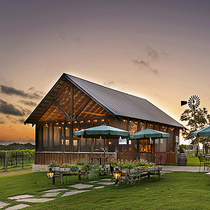 Arrowhead Creek Vineyard
