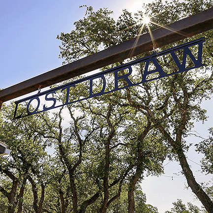 Lost Draw
